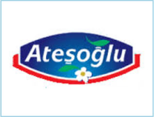 Atesoglu