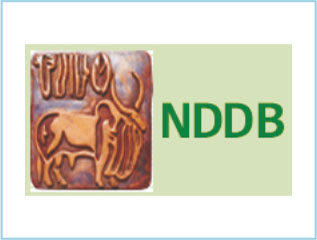 NDDB