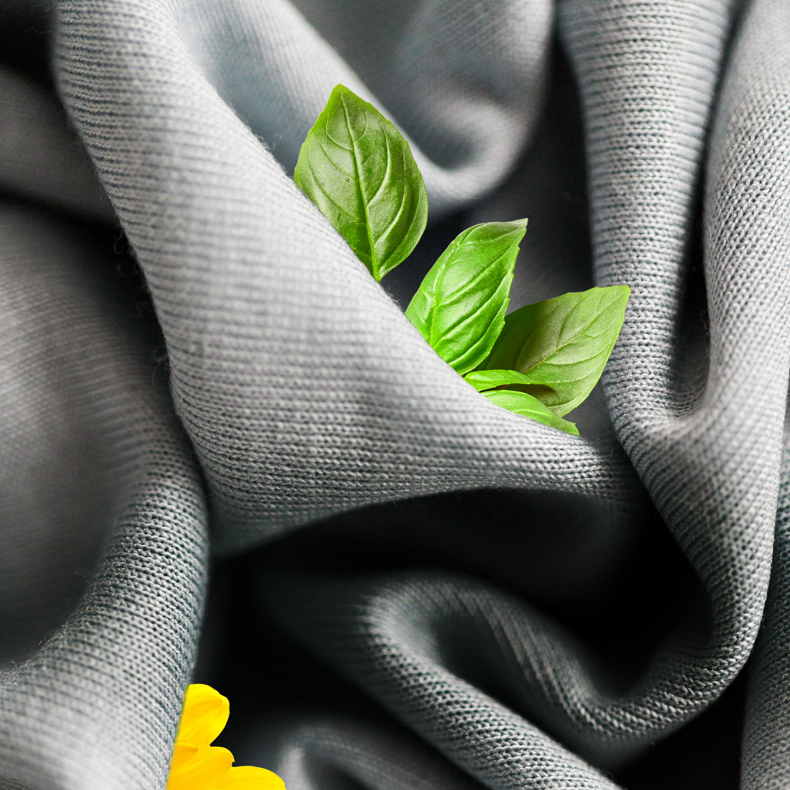 Textile Dyeing Industry