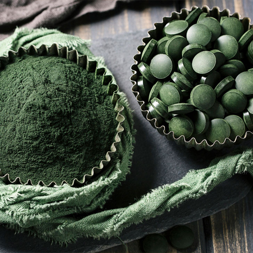 Spirulina Algae Powder Plant