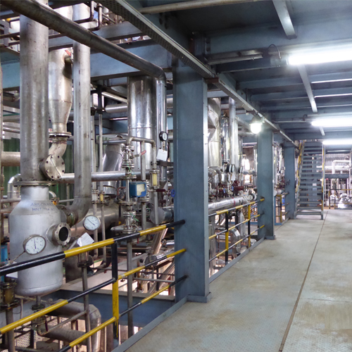 Other Herbal Extraction Plant